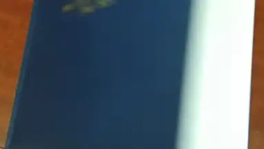 Capture d'écran de GfyCat 5