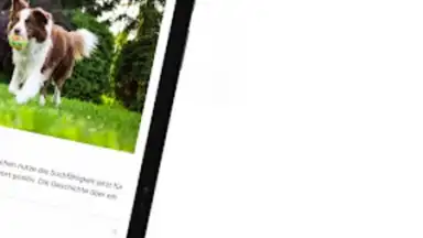 Capture d'écran de RP ONLINE 6