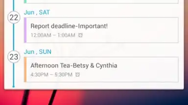Capture d'écran de GO Calendar Widget 8