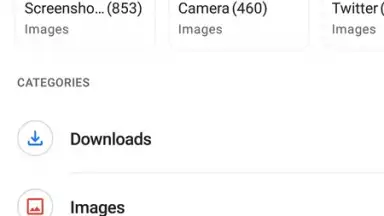 Capture d'écran de Files by Google 2