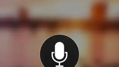 Capture d'écran de Microsoft Translator 7