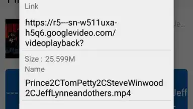 Capture d'écran de GDM - YouTube Video Downloader 13