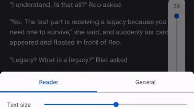 Capture d'écran de LNReader 11