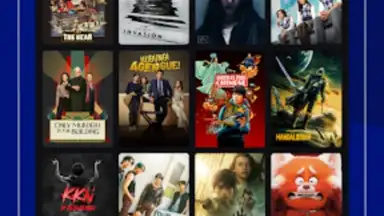 Capture d'écran de Disney+ Hotstar (Android TV) 3