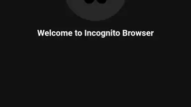 Capture d'écran de Private Browser 14