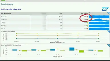 Capture d'écran de SAP BI 2