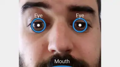 Capture d'écran de FaceSwap 4