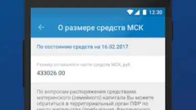 Capture d'écran de ПФР Электронные сервисы 1