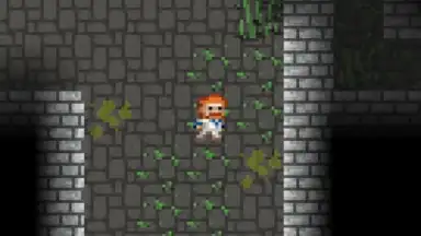 Capture d'écran de Sprouted Pixel Dungeon 10