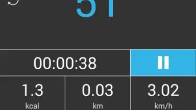 Capture d'écran de Accupedo Pedometer 4