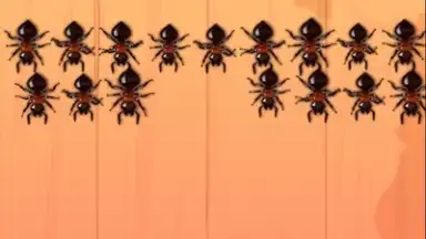 Capture d'écran de Ant Smash Game 5