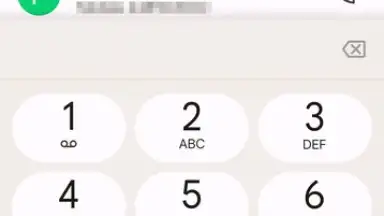 Capture d'écran de Phone by Google 8
