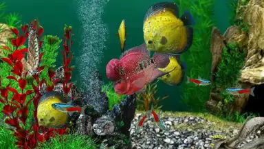 Capture d'écran de AquaLife 3D 1