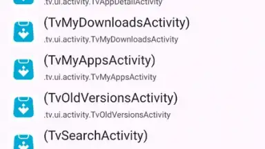 Capture d'écran de Activity Launcher 10