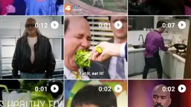 Capture d'écran de Google Gallery 4