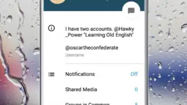 Capture d'écran de Via Messenger - Unofficial Telegram App 12