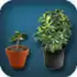 Grow Up Free Trial apk