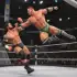 Tag Team Wrestling Games: Mega Cage Ring Fighting apk