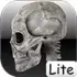 Human skeleton 2D apk