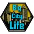 Big City Life : Simulator apk