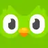 Duolingo apk